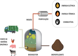 16 Tipos De Fonte De Energia. Você Conhece Todas Estas Fontes ...